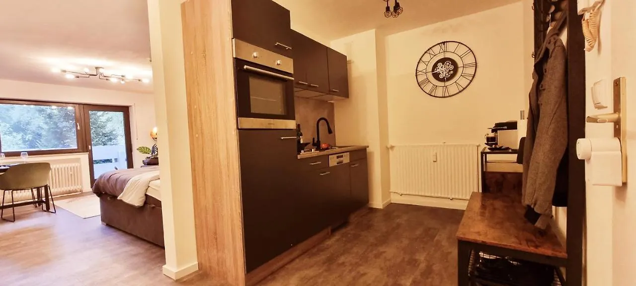 Tolle Wohnung Im Industrial Style Mit Parkplatz Aschaffenburg Apartment